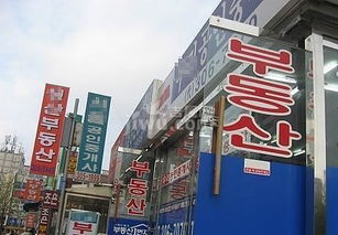首尔外国购房者福音 涉外房地产中介事务所扩张至220所